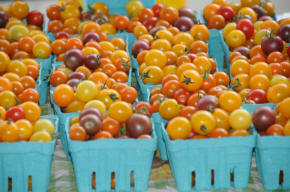 Assorted cherry tomatoes